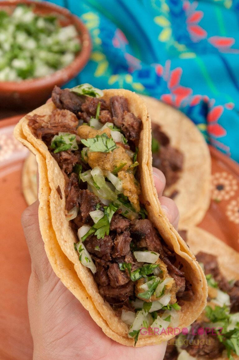Suadero tacos Gerardo Lopez