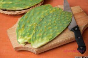 Stuffed Nopales or Cactus