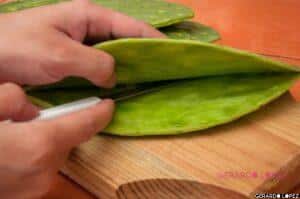 Stuffed Nopales or Cactus