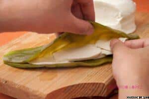 Stuffed Nopales Cactus